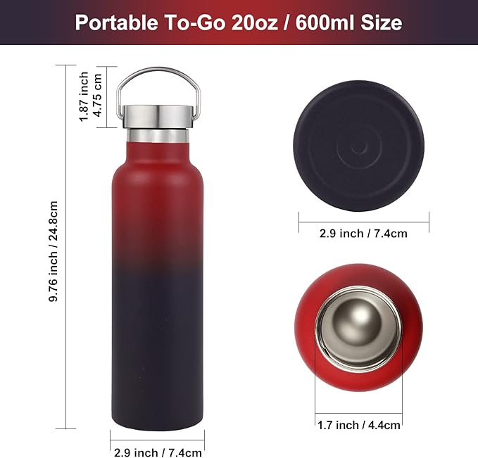 Neihepal 20 oz Insulated Water Bottles Bulk 2 Pack,Stainless Steel Double Wall Sport Bottle with Lid of Handle,Metal Reusable Thermoses Flask for School,Cyclists,Hikers,Gift (Dark Rainbow,Set of 2)