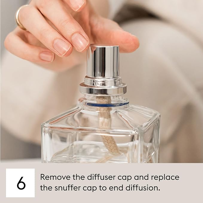Charleston - Lampe Berger Fragrance Refill for Home Fragrance Oil Diffuser - 33.8 Fluid Ounces - 1 Liter