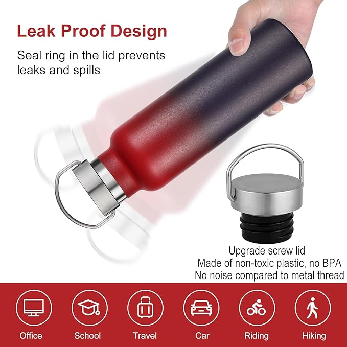 Neihepal 20 oz Insulated Water Bottles Bulk 2 Pack,Stainless Steel Double Wall Sport Bottle with Lid of Handle,Metal Reusable Thermoses Flask for School,Cyclists,Hikers,Gift (Dark Rainbow,Set of 2)